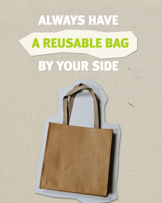 Sustainable Travel Tips - use reusable bag