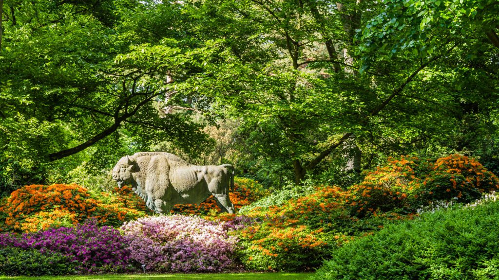 Fun Facts Bremen: Bremen Rhododendronpark