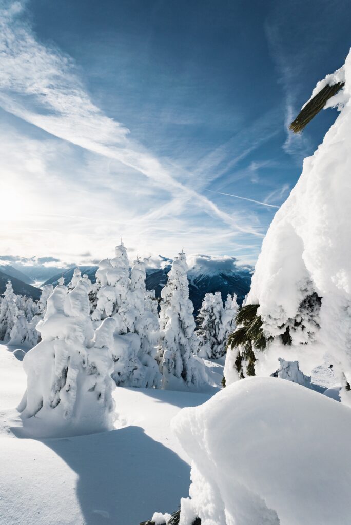 Family-friendly skiing resorts near Innsbruck - snow on trees on a mountain landscape