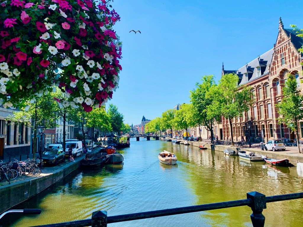 Amsterdam canal tour: a canal view, green water and a boat