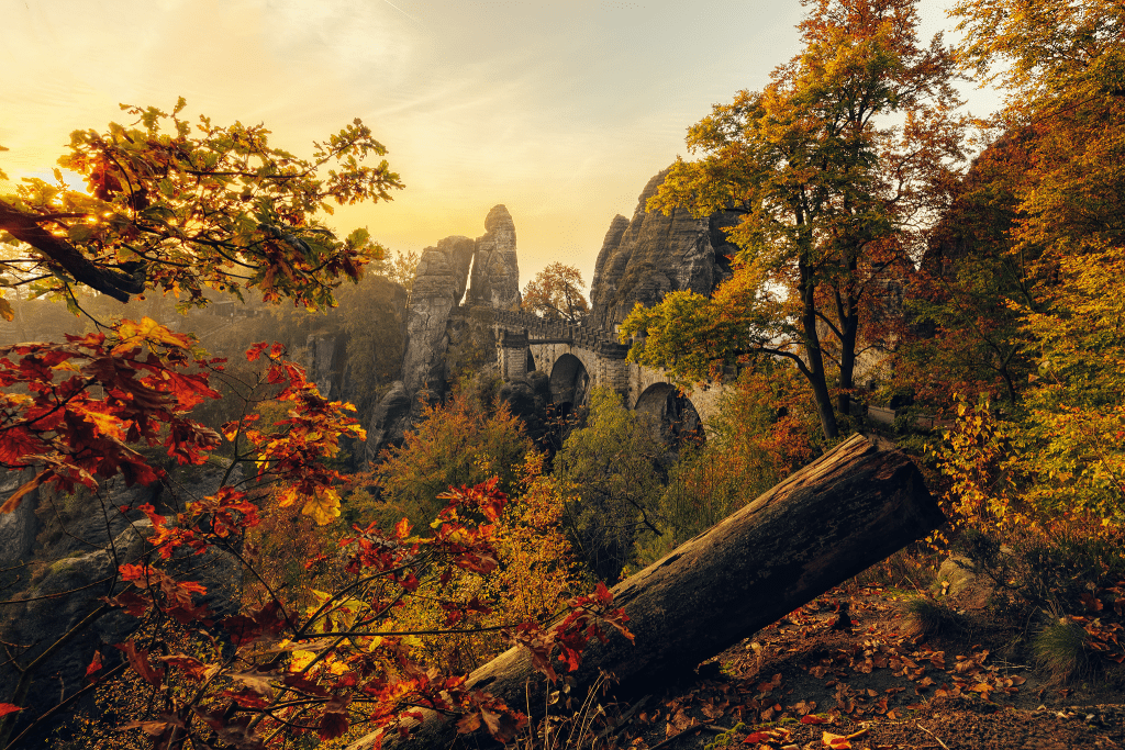 Dresden Ausflüge Sächsische Schweiz: Sächsische Landschaft und Blätter im Herbst