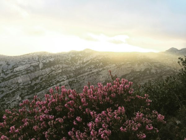 Marseille hiking: discover the stunning Calanques 