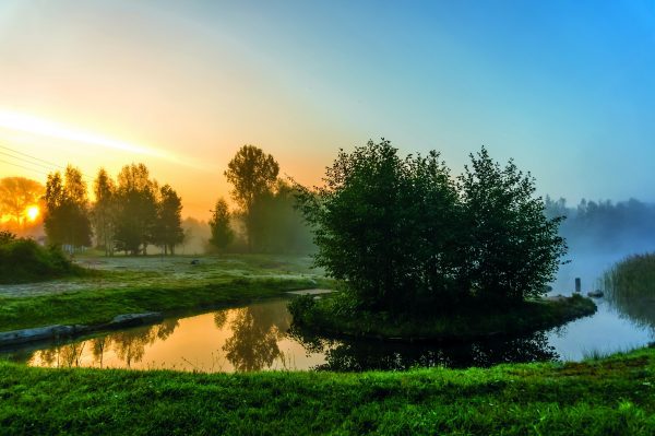 A Spreewald day trip near Berlin