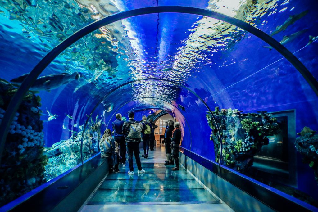 ein Aquarientunnel und Besucher darin