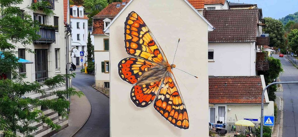 Heidelberg Instagram spots: ein Wandgemälde des Künstlers Mantra, das einen realistischen Schmetterling auf der Fassade eines Heidelberger Gebäudes zeigt